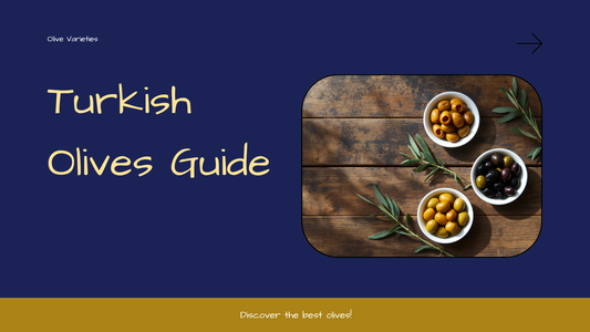 Assorted Turkish olives in white bowls with an olive branch