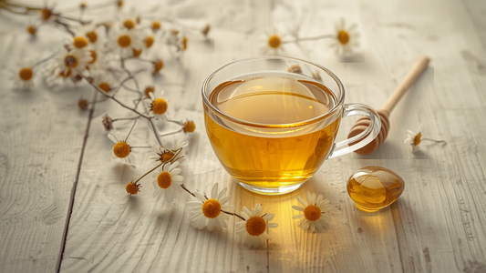 Cup of chamomile tea with fresh chamomile flowers and honey