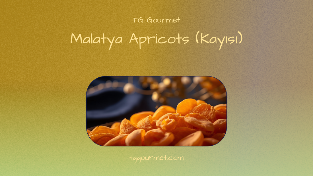 Graphic cover: sun-dried Malatya apricots (kayısı) — bright orange sulfured and dark brown unsulfured halves with TG Gourmet title text