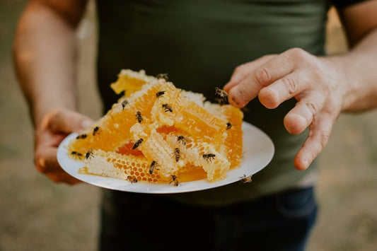 What Is Honeycomb? How to Eat, Serve, and Pair It