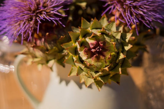 What Is Thistle (Enginar Dibi) and How Do You Cook With It?