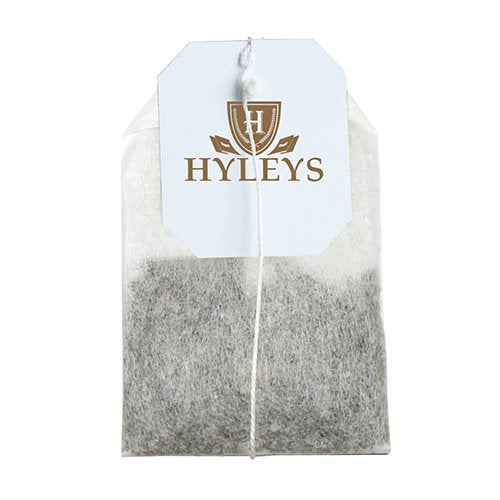 HYLEYS TURMERIC WITH GREEN TEA 1.32oz 25 Tea Bags - Authentic Turkish & Mediterranean Food | TG Gourmet
