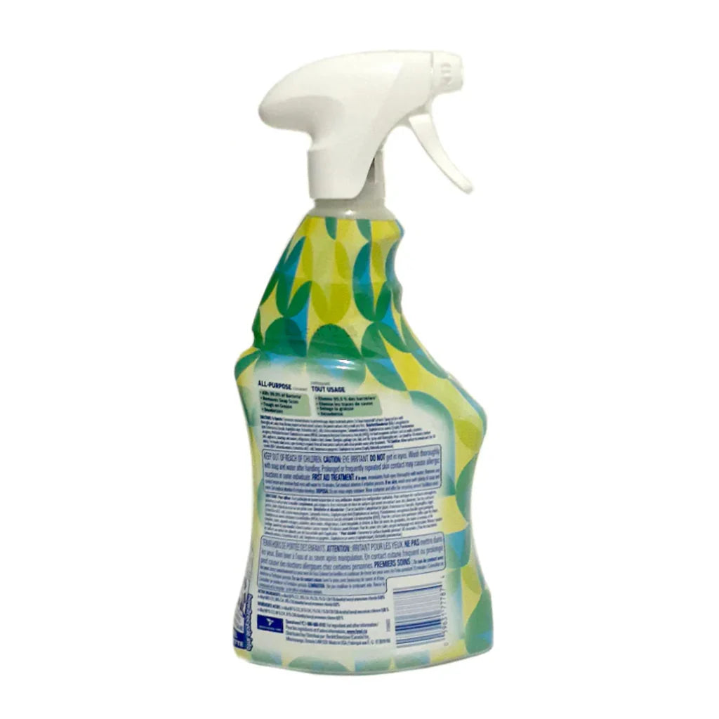 Lysol All-Purpose Cleaner Apple Blossom 22 fl oz - Authentic Turkish & Mediterranean Food | TG Gourmet