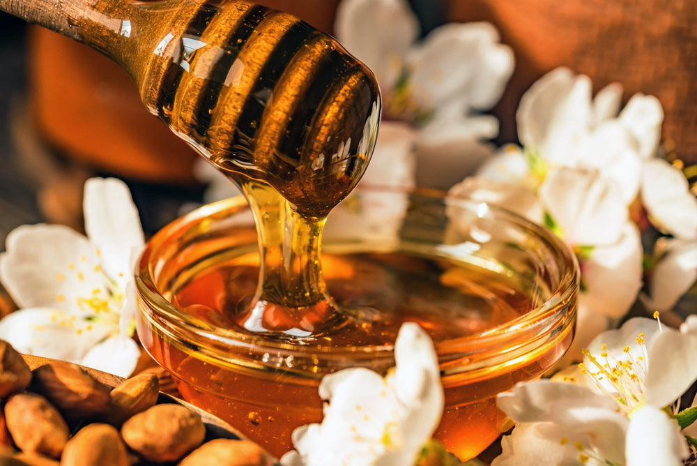 CAPPADOCIA NATURAL HONEYCOMB in WOODEN PACKAGE 1000 GR - Authentic Turkish & Mediterranean Food | TG Gourmet