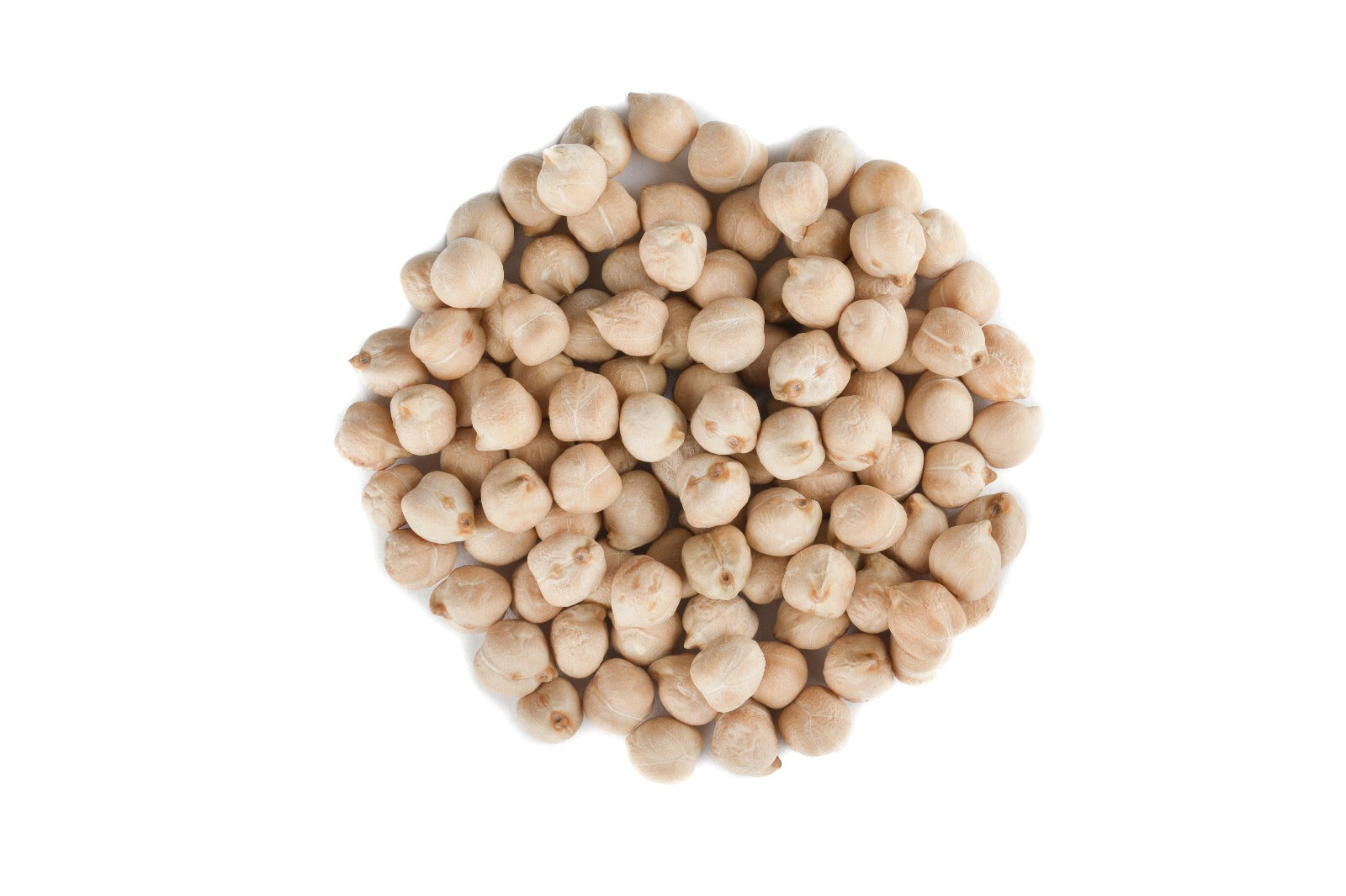 Peyman Bahceden White Chickpeas 5.29 oz (150 g) - Gluten Free - High Fiber - Authentic Turkish & Mediterranean Food | TG Gourmet